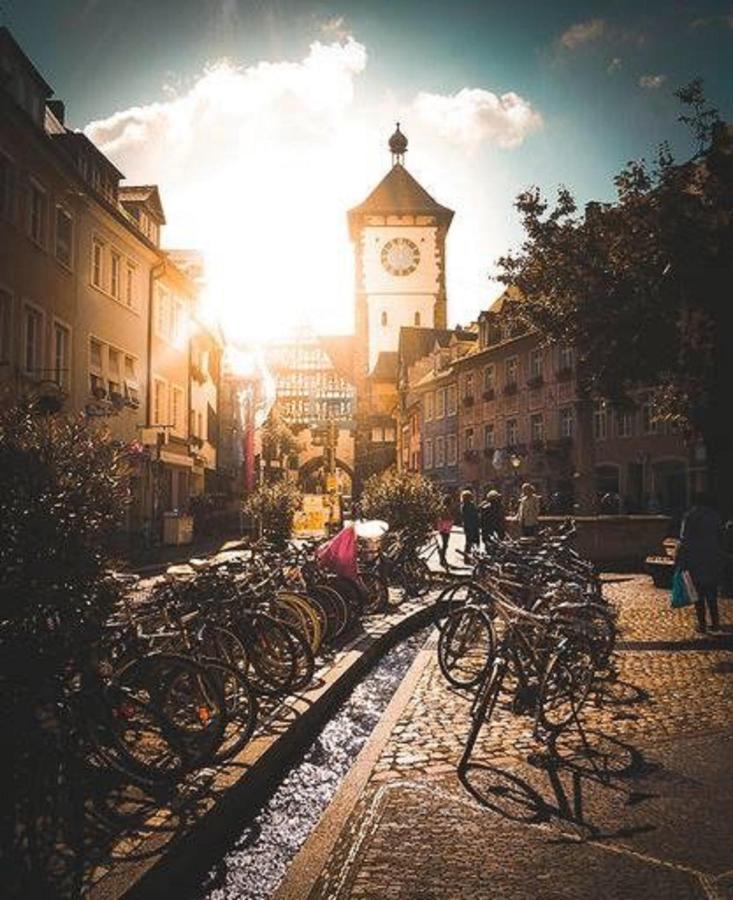 프라이부르크 임 브리스가우 Studio Rome In Der Altstadt 아파트 외부 사진